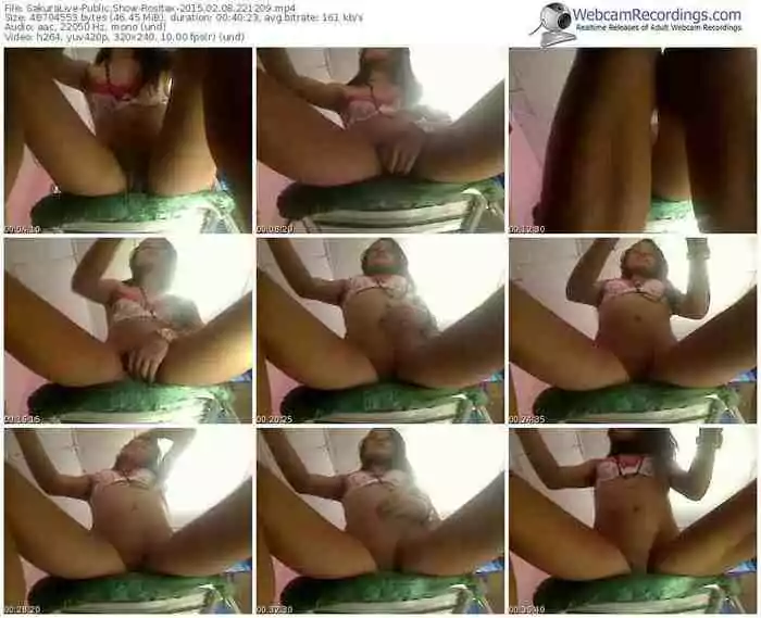 sakuralivejp-rositax-public-show-02_08_2015-22_12_09