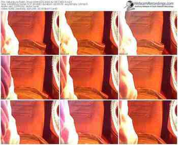 sakuralivejp-usako23-public-show-02_08_2015-13_00_14