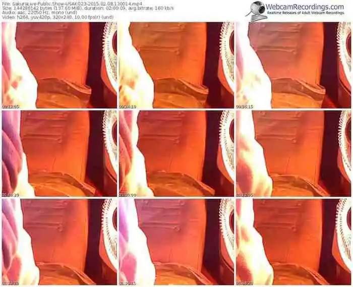 sakuralivejp-usako23-public-show-02_08_2015-13_00_14