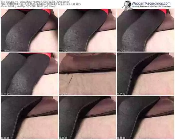 sakuralivejp-ymamay-public-show-02_08_2015-15_26_53