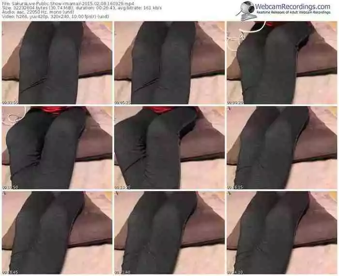 sakuralivejp-ymamay-public-show-02_08_2015-16_03_29