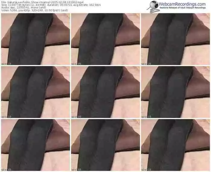 sakuralivejp-ymamay-public-show-02_08_2015-16_33_02