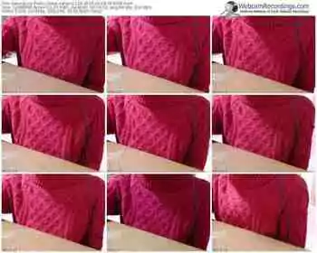 sakuralivejp-satomi1124-public-show-02_08_2015-06_49_08