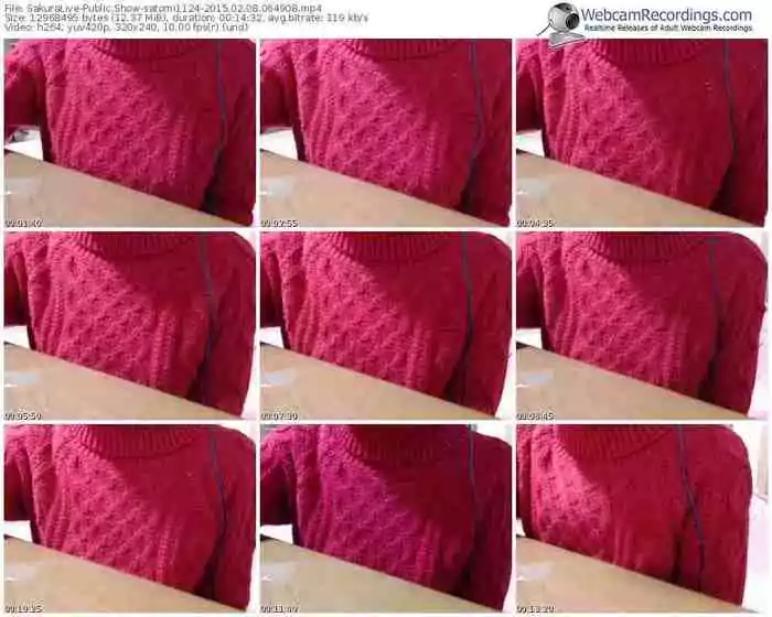 sakuralivejp-satomi1124-public-show-02_08_2015-06_49_08