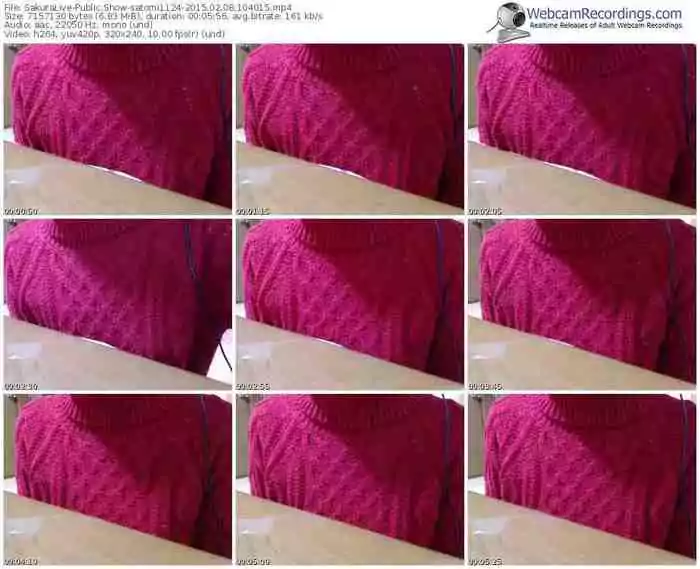 sakuralivejp-satomi1124-public-show-02_08_2015-10_40_15