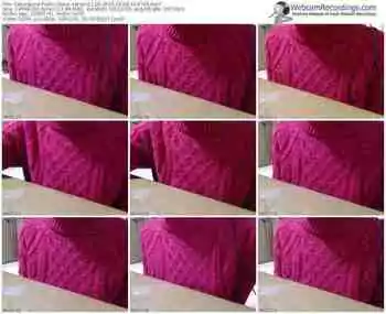 sakuralivejp-satomi1124-public-show-02_08_2015-10_47_46