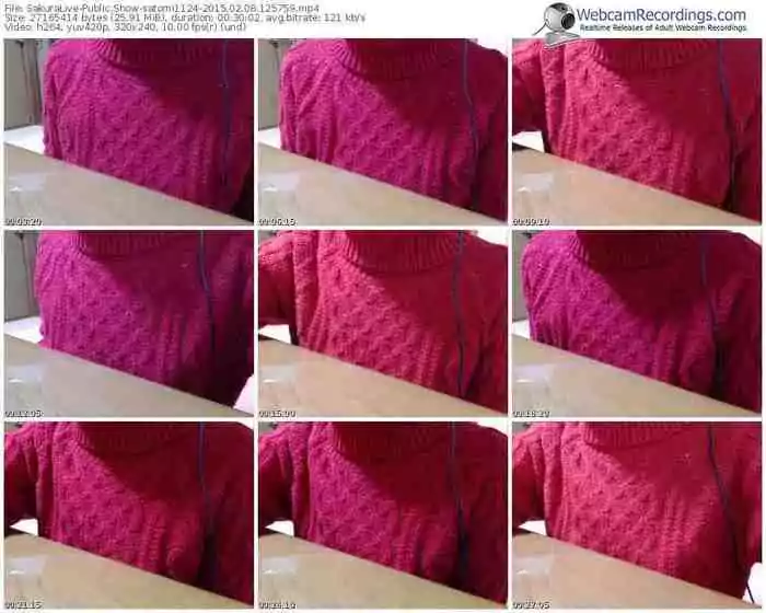 sakuralivejp-satomi1124-public-show-02_08_2015-12_57_59