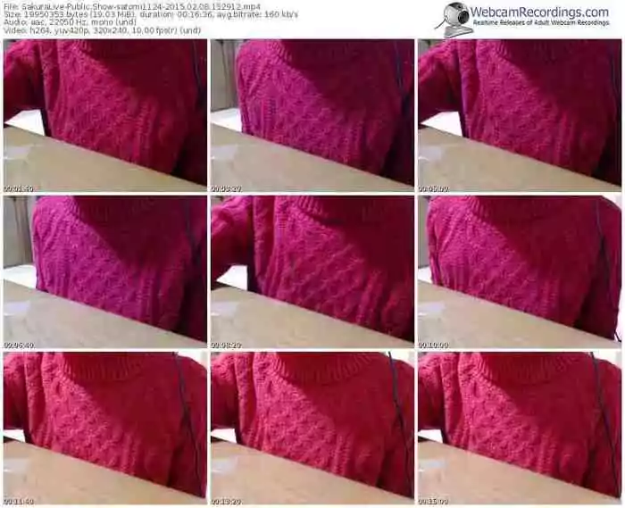 sakuralivejp-satomi1124-public-show-02_08_2015-15_29_12