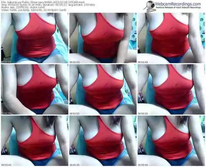 sakuralivejp-sexyshina-public-show-02_08_2015-10_53_48