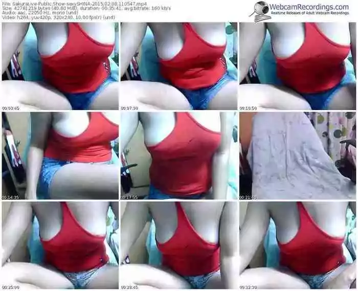 sakuralivejp-sexyshina-public-show-02_08_2015-11_05_47