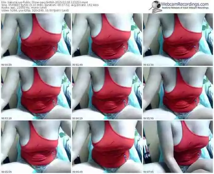 sakuralivejp-sexyshina-public-show-02_08_2015-12_22_10