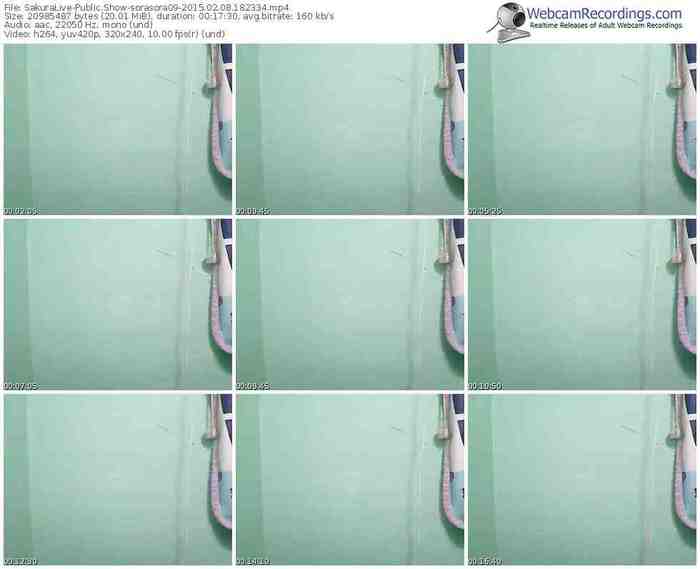 sakuralivejp-sorasora09-public-show-02_08_2015-18_23_34