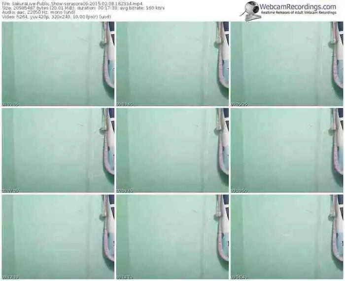 sakuralivejp-sorasora09-public-show-02_08_2015-18_23_34