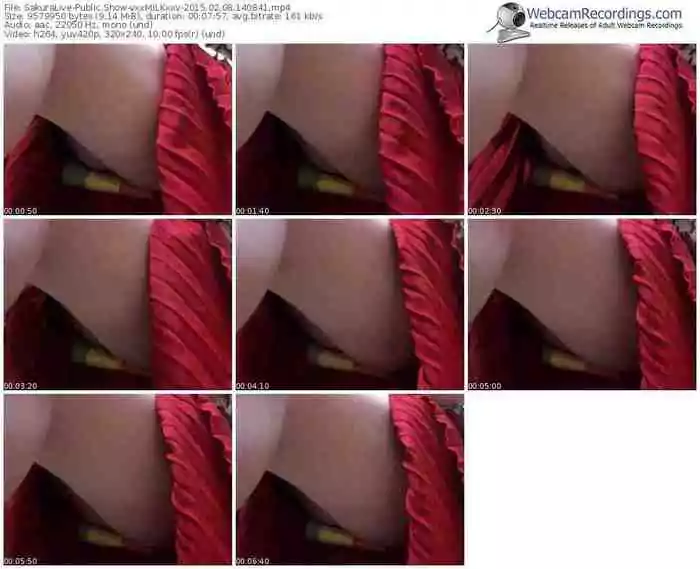 sakuralivejp-vxxmilkxxv-public-show-02_08_2015-14_08_41