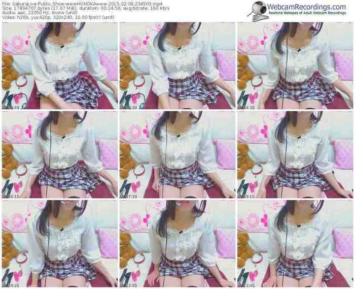 sakuralivejp-wwwhonokawww-public-show-02_08_2015-23_45_03