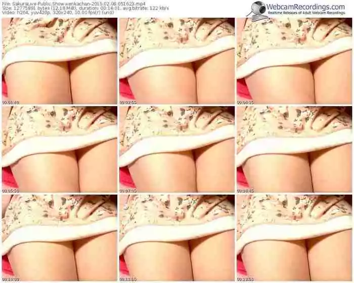 sakuralivejp-xerikachan-public-show-02_08_2015-05_16_23