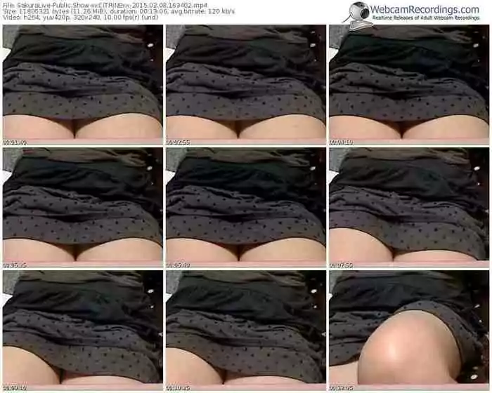 sakuralivejp-xxcitrinexx-public-show-02_08_2015-16_34_02