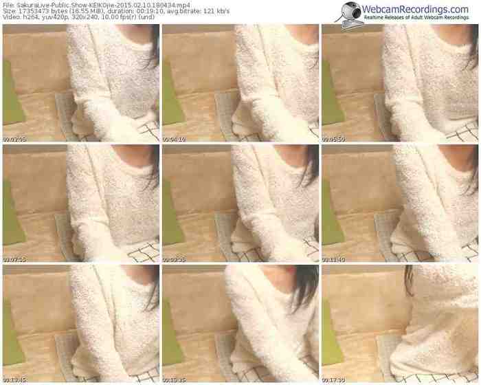 sakuralivejp-keikojie-public-show-02_10_2015-18_04_34
