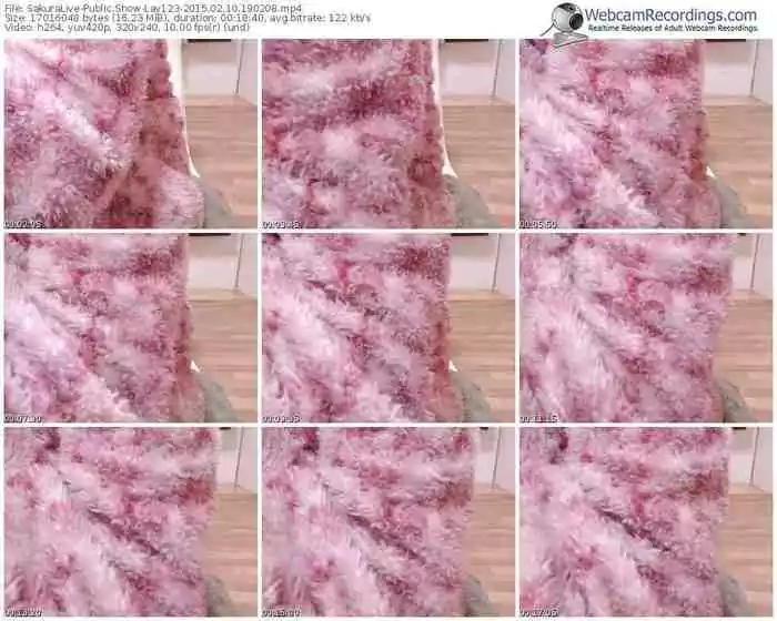 sakuralivejp-lay123-public-show-02_10_2015-19_02_08