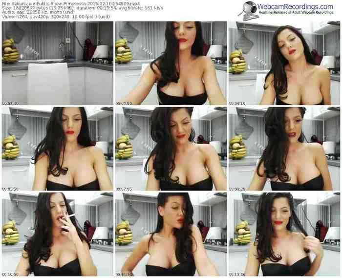 sakuralivejp-prinssessa-public-show-02_10_2015-15_45_09