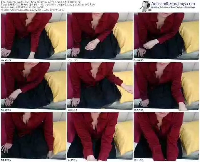 sakuralivejp-reikoeve-public-show-02_10_2015-11_01_03