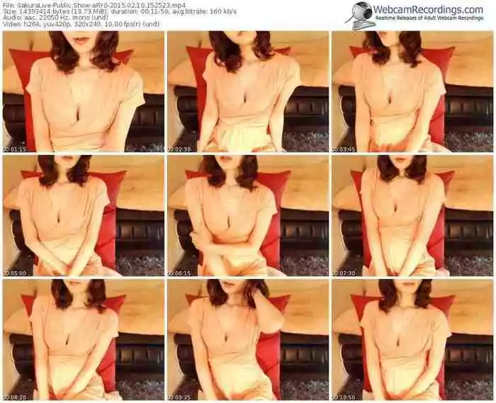 sakuralivejp-ary0-public-show-02_10_2015-15_25_23