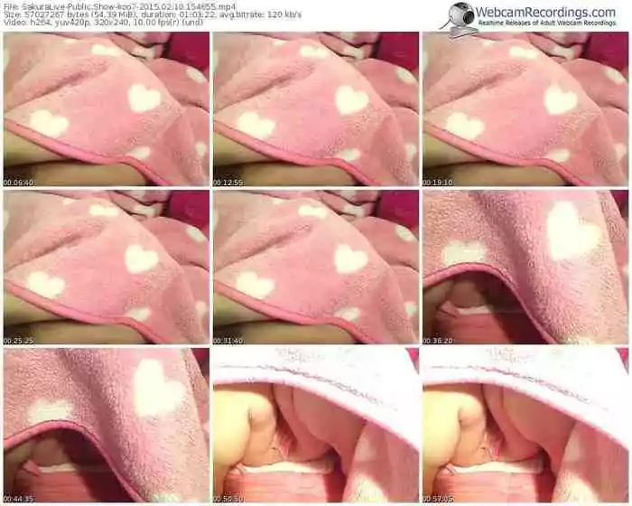 sakuralivejp-koo7-public-show-02_10_2015-15_46_55