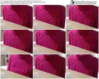 sakuralivejp-satomi1124-public-show-02_10_2015-11_51_29