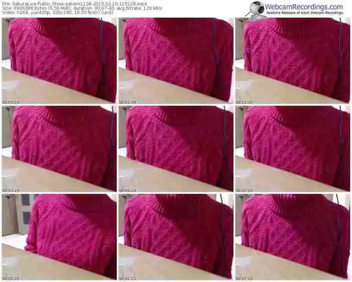 sakuralivejp-satomi1124-public-show-02_10_2015-11_51_29