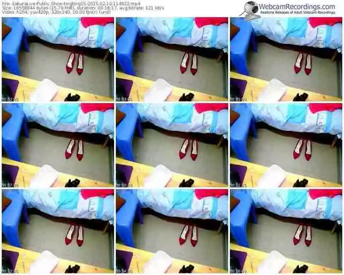sakuralivejp-tingting15-public-show-02_10_2015-11_49_22