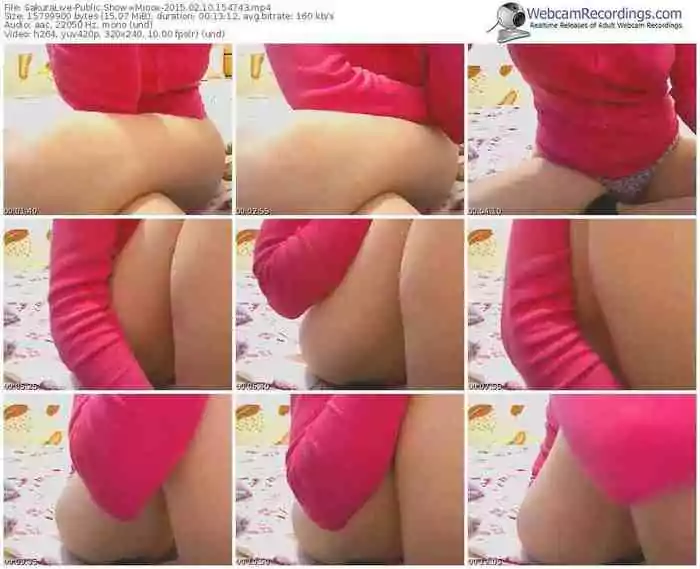 sakuralivejp-xmioox-public-show-02_10_2015-15_47_43