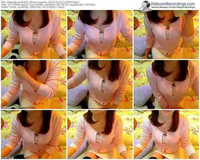 sakuralivejp-xsaya3x-public-show-02_10_2015-14_39_50