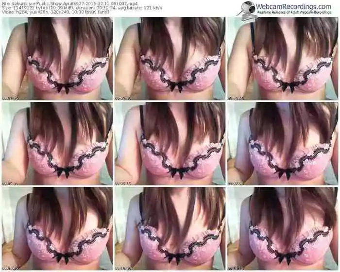 sakuralivejp-ayu86927-public-show-02_11_2015-03_10_07