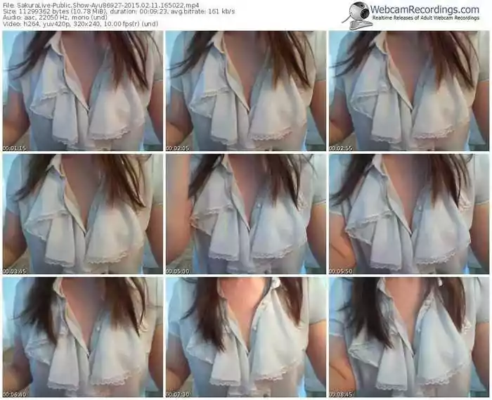 sakuralivejp-ayu86927-public-show-02_11_2015-16_50_22