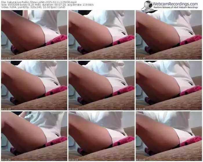 sakuralivejp-lanit-public-show-02_11_2015-12_50_30