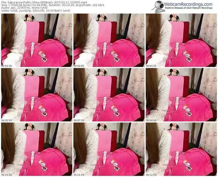 sakuralivejp-senaop1-public-show-02_11_2015-10_36_20