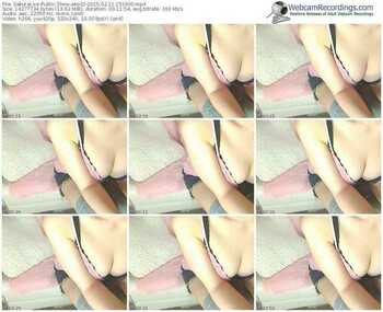 sakuralivejp-ako02-public-show-02_11_2015-15_19_00