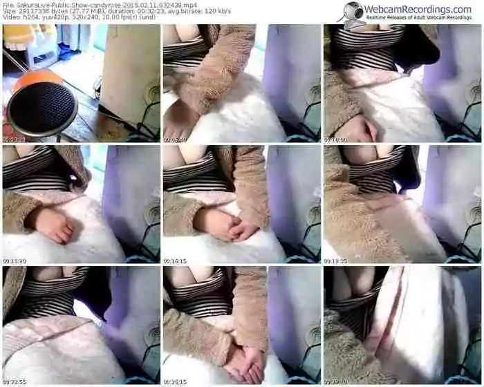 sakuralivejp-candyrose-public-show-02_11_2015-03_24_38