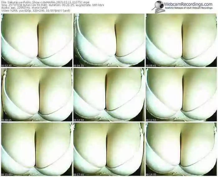 sakuralivejp-cutemaria-public-show-02_11_2015-01_07_57