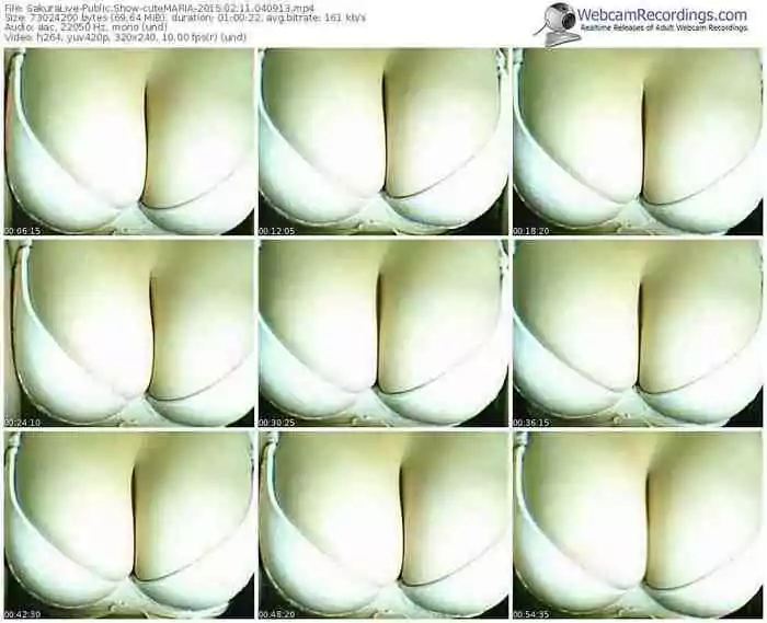 sakuralivejp-cutemaria-public-show-02_11_2015-04_09_13