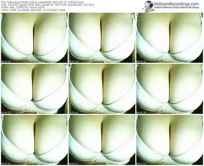 sakuralivejp-cutemaria-public-show-02_11_2015-23_52_19