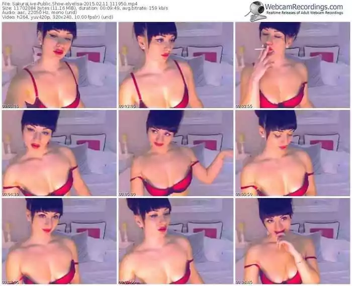 sakuralivejp-elyelisa-public-show-02_11_2015-11_19_50