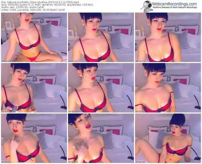 sakuralivejp-elyelisa-public-show-02_11_2015-11_33_06