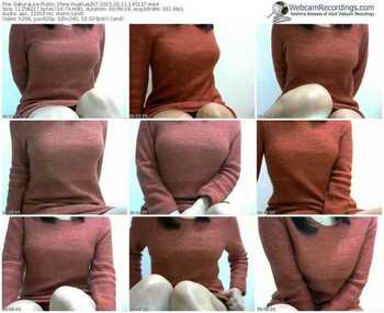 sakuralivejp-huahua207-public-show-02_11_2015-14_31_27