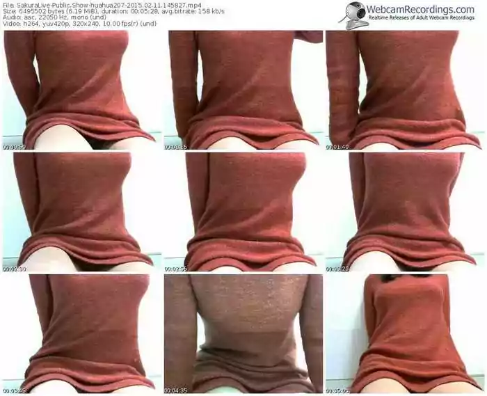 sakuralivejp-huahua207-public-show-02_11_2015-14_58_27