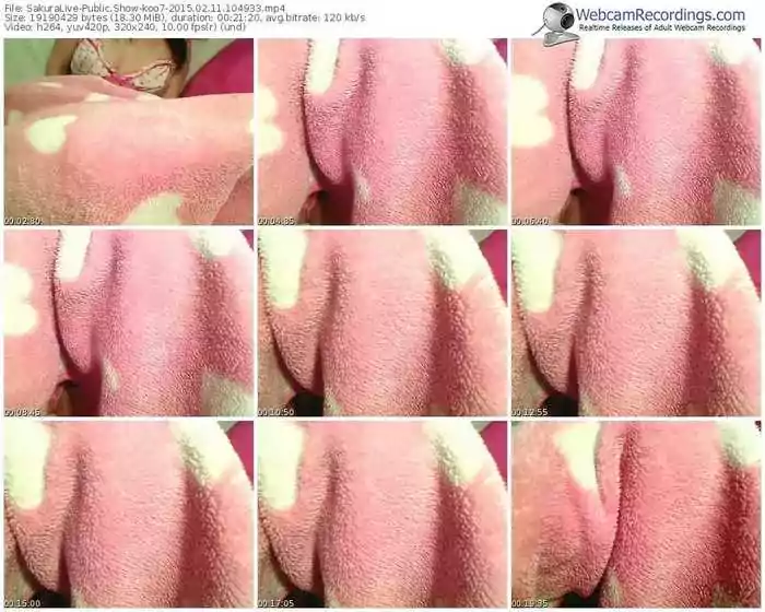 sakuralivejp-koo7-public-show-02_11_2015-10_49_33