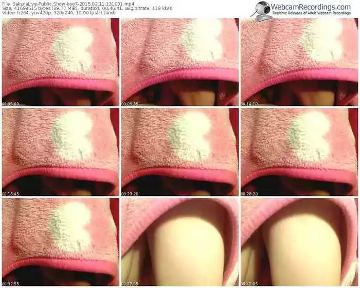 sakuralivejp-koo7-public-show-02_11_2015-13_10_31