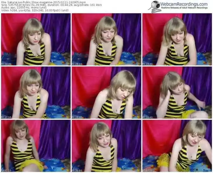 sakuralivejp-meganne-public-show-02_11_2015-19_29_05