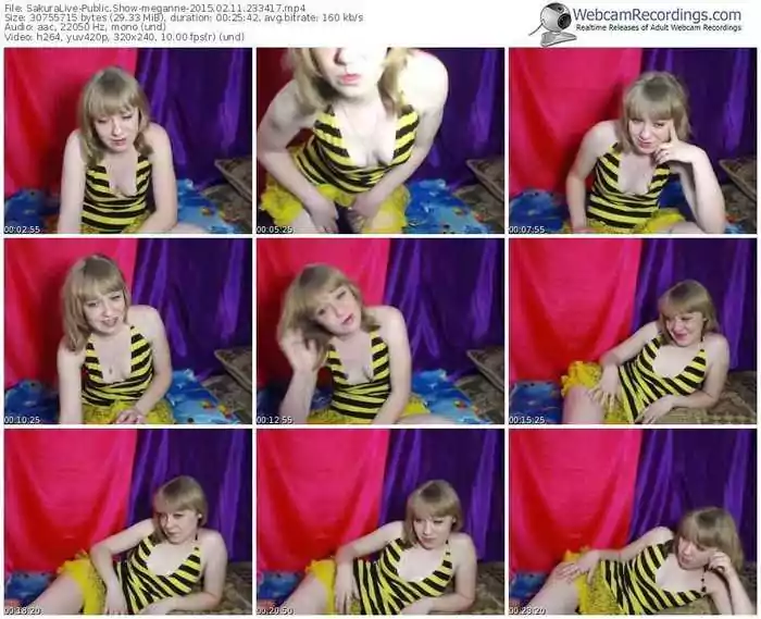 sakuralivejp-meganne-public-show-02_11_2015-23_34_17