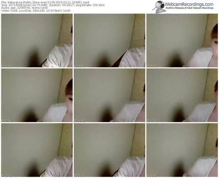 sakuralivejp-mery1105-public-show-02_11_2015-16_36_51